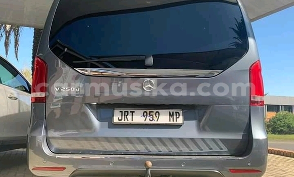 Buy Used Mercedes‒Benz Vito Silver Car in Beitbridge in Matabeleland South Buy Used Mercedes‒Benz Vito Silver Car in Beitbridge in Matabeleland South