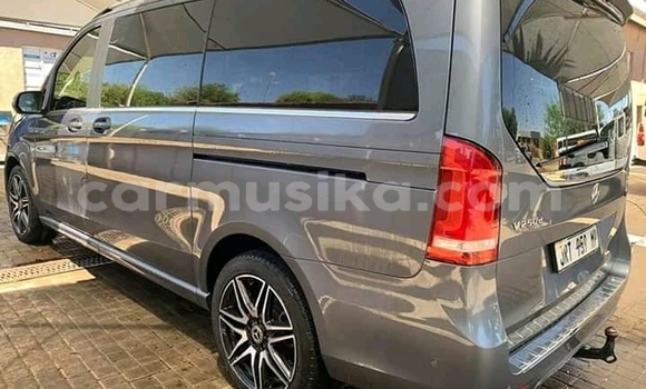 Buy Used Mercedes‒Benz Vito Silver Car in Beitbridge in Matabeleland South Buy Used Mercedes‒Benz Vito Silver Car in Beitbridge in Matabeleland South