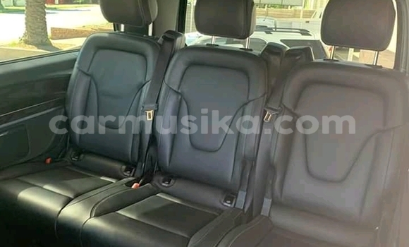 Buy Used Mercedes‒Benz Vito Silver Car in Beitbridge in Matabeleland South Buy Used Mercedes‒Benz Vito Silver Car in Beitbridge in Matabeleland South