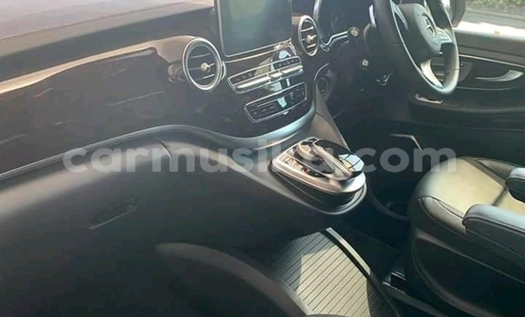 Buy Used Mercedes‒Benz Vito Silver Car in Beitbridge in Matabeleland South Buy Used Mercedes‒Benz Vito Silver Car in Beitbridge in Matabeleland South