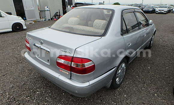 Buy Used Toyota Corolla Silver Car in Beitbridge in Matabeleland South Buy Used Toyota Corolla Silver Car in Beitbridge in Matabeleland South