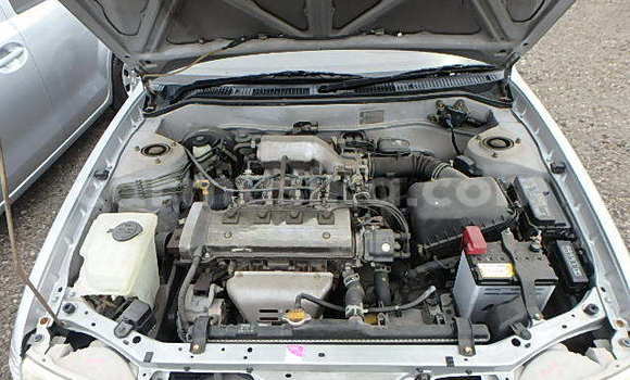 Buy Used Toyota Corolla Silver Car in Beitbridge in Matabeleland South Buy Used Toyota Corolla Silver Car in Beitbridge in Matabeleland South