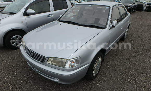 Buy Used Toyota Corolla Silver Car in Beitbridge in Matabeleland South Buy Used Toyota Corolla Silver Car in Beitbridge in Matabeleland South