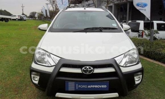 Tenga Tsaru Toyota Etios Chena Mota in Beitbridge in Matabeleland South