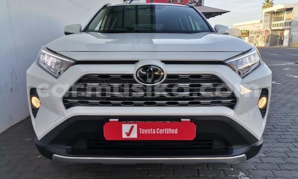Buy Used Toyota RAV4 White Car in Beitbridge in Matabeleland South