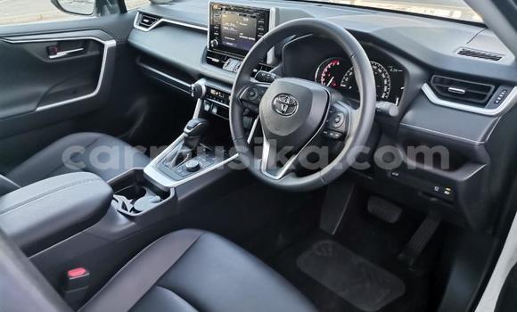 Nunua Ilio tumika Toyota RAV4 Nyeupe Gari ndani ya Beitbridge nchini Matabeleland Kusini Nunua Ilio tumika Toyota RAV4 Nyeupe Gari ndani ya Beitbridge nchini Matabeleland Kusini