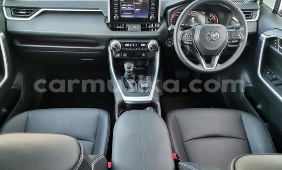 Nunua Ilio tumika Toyota RAV4 Nyeupe Gari ndani ya Beitbridge nchini Matabeleland Kusini Nunua Ilio tumika Toyota RAV4 Nyeupe Gari ndani ya Beitbridge nchini Matabeleland Kusini