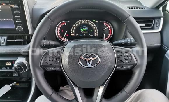 Nunua Ilio tumika Toyota RAV4 Nyeupe Gari ndani ya Beitbridge nchini Matabeleland Kusini Nunua Ilio tumika Toyota RAV4 Nyeupe Gari ndani ya Beitbridge nchini Matabeleland Kusini