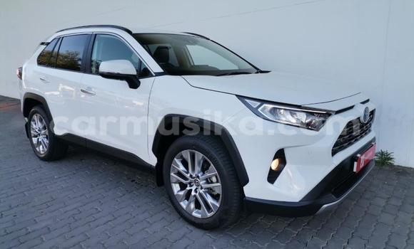 Nunua Ilio tumika Toyota RAV4 Nyeupe Gari ndani ya Beitbridge nchini Matabeleland Kusini Nunua Ilio tumika Toyota RAV4 Nyeupe Gari ndani ya Beitbridge nchini Matabeleland Kusini