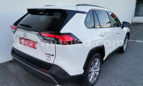 Nunua Ilio tumika Toyota RAV4 Nyeupe Gari ndani ya Beitbridge nchini Matabeleland Kusini Nunua Ilio tumika Toyota RAV4 Nyeupe Gari ndani ya Beitbridge nchini Matabeleland Kusini