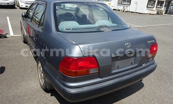 Tenga Tsaru Toyota Corolla Zvimwe Mota in Beitbridge in Matabeleland South Tenga Tsaru Toyota Corolla Zvimwe Mota in Beitbridge in Matabeleland South