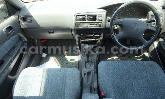 Tenga Tsaru Toyota Corolla Zvimwe Mota in Beitbridge in Matabeleland South Tenga Tsaru Toyota Corolla Zvimwe Mota in Beitbridge in Matabeleland South