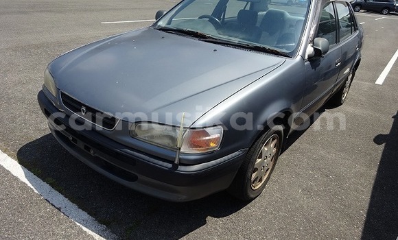 Tenga Tsaru Toyota Corolla Zvimwe Mota in Beitbridge in Matabeleland South Tenga Tsaru Toyota Corolla Zvimwe Mota in Beitbridge in Matabeleland South