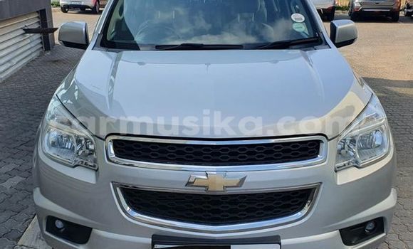 Buy Used Chevrolet TrailBlazer Silver Car in Beitbridge in Matabeleland South Buy Used Chevrolet TrailBlazer Silver Car in Beitbridge in Matabeleland South