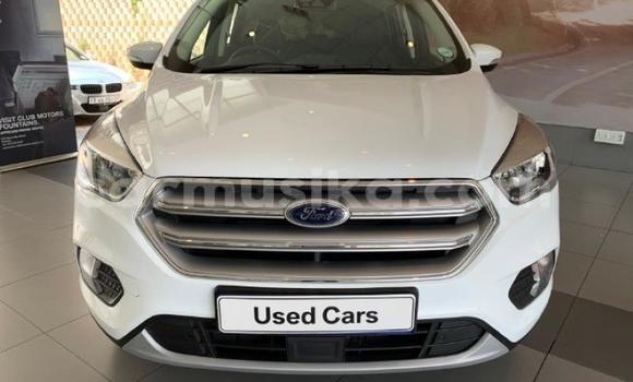 Tenga Tsaru Ford Kuga Chena Mota in Beitbridge in Matabeleland South