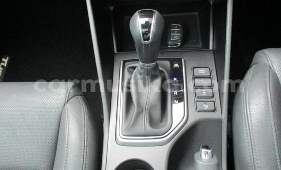 Acheter Occasion Voiture Hyundai Tucson Blanc à Beitbridge, Matabeleland South Acheter Occasion Voiture Hyundai Tucson Blanc à Beitbridge, Matabeleland South