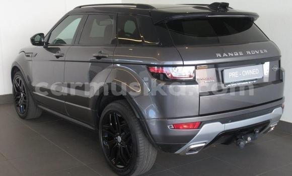 Acheter Occasion Voiture Land Rover Range Rover Evoque Beige à Beitbridge, Matabeleland South Acheter Occasion Voiture Land Rover Range Rover Evoque Beige à Beitbridge, Matabeleland South