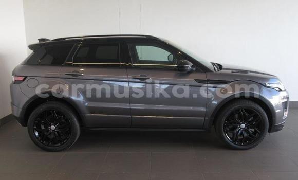 Acheter Occasion Voiture Land Rover Range Rover Evoque Beige à Beitbridge, Matabeleland South Acheter Occasion Voiture Land Rover Range Rover Evoque Beige à Beitbridge, Matabeleland South