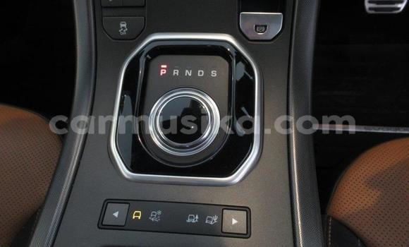 Acheter Occasion Voiture Land Rover Range Rover Evoque Beige à Beitbridge, Matabeleland South Acheter Occasion Voiture Land Rover Range Rover Evoque Beige à Beitbridge, Matabeleland South