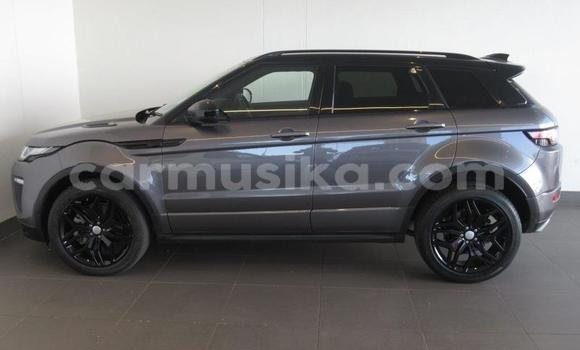 Acheter Occasion Voiture Land Rover Range Rover Evoque Beige à Beitbridge, Matabeleland South Acheter Occasion Voiture Land Rover Range Rover Evoque Beige à Beitbridge, Matabeleland South