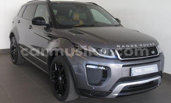 Acheter Occasion Voiture Land Rover Range Rover Evoque Beige à Beitbridge, Matabeleland South Acheter Occasion Voiture Land Rover Range Rover Evoque Beige à Beitbridge, Matabeleland South