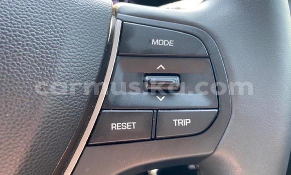 Acheter Occasion Voiture Hyundai i20 Autre à Beitbridge, Matabeleland South Acheter Occasion Voiture Hyundai i20 Autre à Beitbridge, Matabeleland South