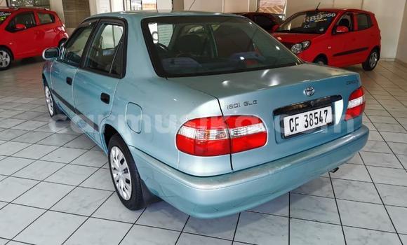 Acheter Occasion Voiture Toyota Corolla Beige à Beitbridge, Matabeleland South Acheter Occasion Voiture Toyota Corolla Beige à Beitbridge, Matabeleland South