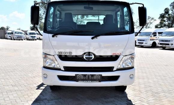 Buy Used Hino 300 White Truck in Beitbridge in Matabeleland South