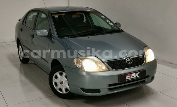 Buy Used Toyota Corolla Blue Car in Beitbridge in Matabeleland South