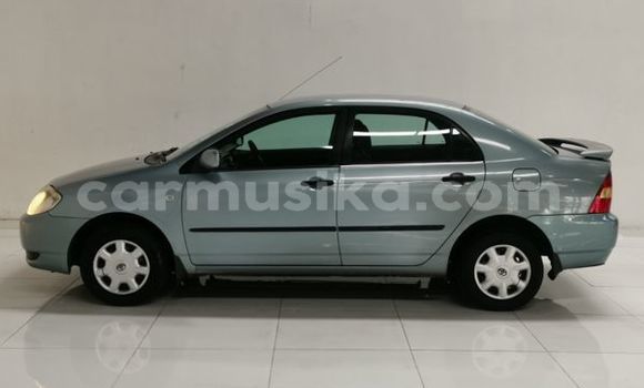 Acheter Occasion Voiture Toyota Corolla Bleu à Beitbridge, Matabeleland South Acheter Occasion Voiture Toyota Corolla Bleu à Beitbridge, Matabeleland South