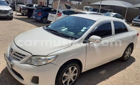 Nunua Ilio tumika Toyota Corolla Nyeupe Gari ndani ya Beitbridge nchini Matabeleland Kusini