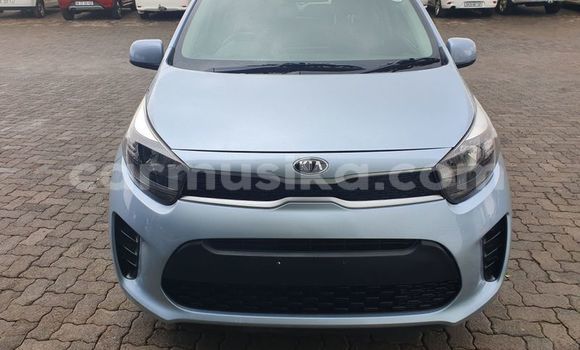 Buy Used Kia Picanto Blue Car in Beitbridge in Matabeleland South