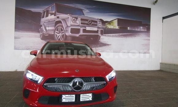 Buy Used Mercedes‒Benz A–Class Red Car in Beitbridge in Matabeleland South