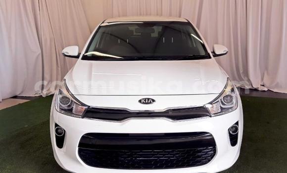 Tenga Tsaru Kia Rio Chena Mota in Beitbridge in Matabeleland South