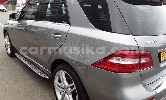 Buy Used Mercedes‒Benz M–Class Silver Car in Harare in Harare Buy Used Mercedes‒Benz M–Class Silver Car in Harare in Harare