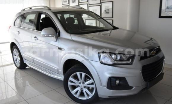 Buy Used Chevrolet Captiva Silver Car in Beitbridge in Matabeleland South