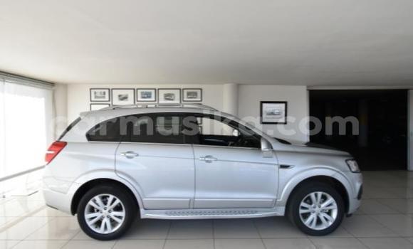 Buy Used Chevrolet Captiva Silver Car in Beitbridge in Matabeleland South Buy Used Chevrolet Captiva Silver Car in Beitbridge in Matabeleland South