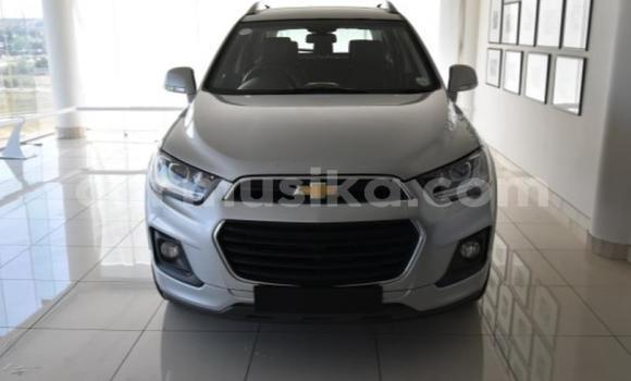 Buy Used Chevrolet Captiva Silver Car in Beitbridge in Matabeleland South Buy Used Chevrolet Captiva Silver Car in Beitbridge in Matabeleland South
