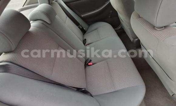 Buy Used Toyota Corolla White Car in Beitbridge in Matabeleland South Buy Used Toyota Corolla White Car in Beitbridge in Matabeleland South