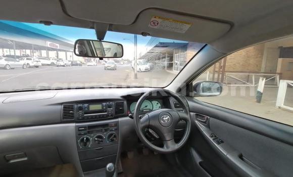 Buy Used Toyota Corolla White Car in Beitbridge in Matabeleland South Buy Used Toyota Corolla White Car in Beitbridge in Matabeleland South