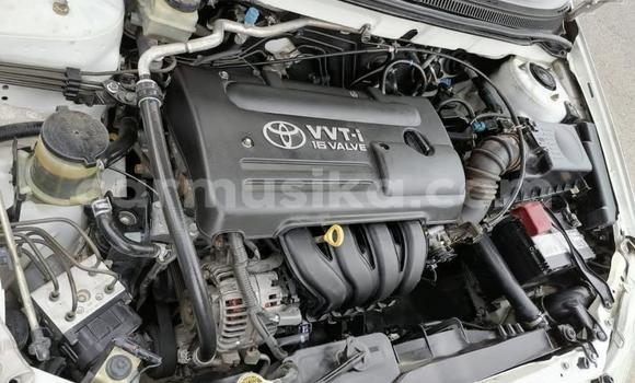 Buy Used Toyota Corolla White Car in Beitbridge in Matabeleland South Buy Used Toyota Corolla White Car in Beitbridge in Matabeleland South