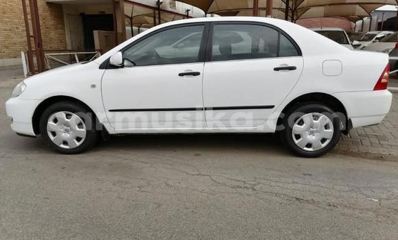 Buy Used Toyota Corolla White Car in Beitbridge in Matabeleland South Buy Used Toyota Corolla White Car in Beitbridge in Matabeleland South