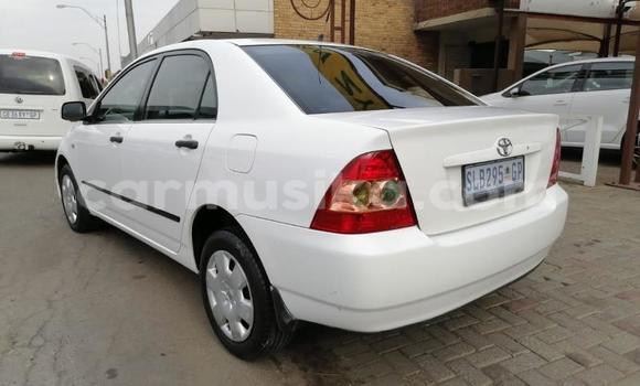 Buy Used Toyota Corolla White Car in Beitbridge in Matabeleland South Buy Used Toyota Corolla White Car in Beitbridge in Matabeleland South