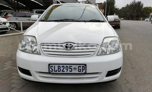 Buy Used Toyota Corolla White Car in Beitbridge in Matabeleland South Buy Used Toyota Corolla White Car in Beitbridge in Matabeleland South