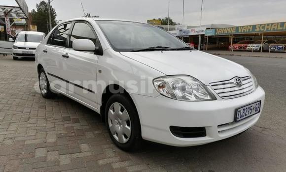 Buy Used Toyota Corolla White Car in Beitbridge in Matabeleland South Buy Used Toyota Corolla White Car in Beitbridge in Matabeleland South