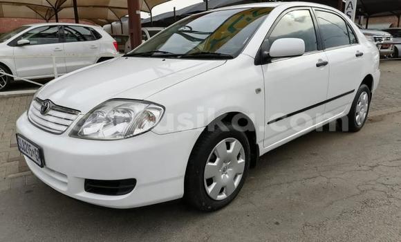 Buy Used Toyota Corolla White Car in Beitbridge in Matabeleland South Buy Used Toyota Corolla White Car in Beitbridge in Matabeleland South