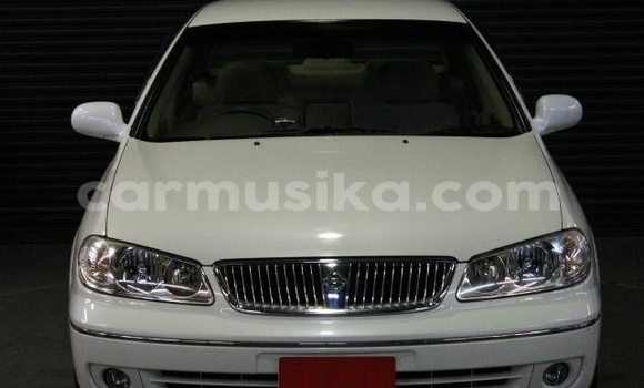 Buy Used Nissan Bluebird Sylphy White Car in Beitbridge in Matabeleland South Buy Used Nissan Bluebird Sylphy White Car in Beitbridge in Matabeleland South