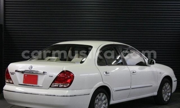 Buy Used Nissan Bluebird Sylphy White Car in Beitbridge in Matabeleland South Buy Used Nissan Bluebird Sylphy White Car in Beitbridge in Matabeleland South