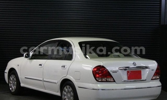 Buy Used Nissan Bluebird Sylphy White Car in Beitbridge in Matabeleland South Buy Used Nissan Bluebird Sylphy White Car in Beitbridge in Matabeleland South