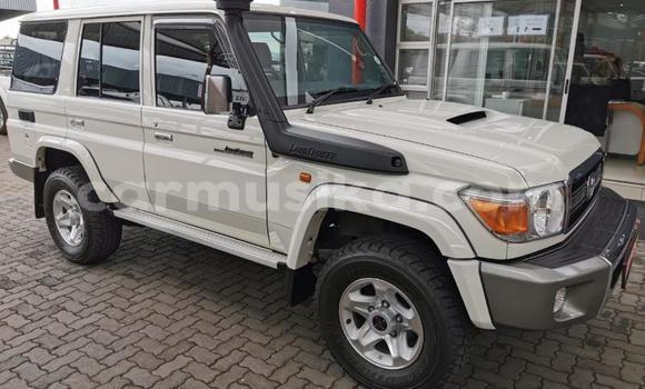 Tenga Tsaru Toyota Land Cruiser Chena Mota in Beitbridge in Matabeleland South